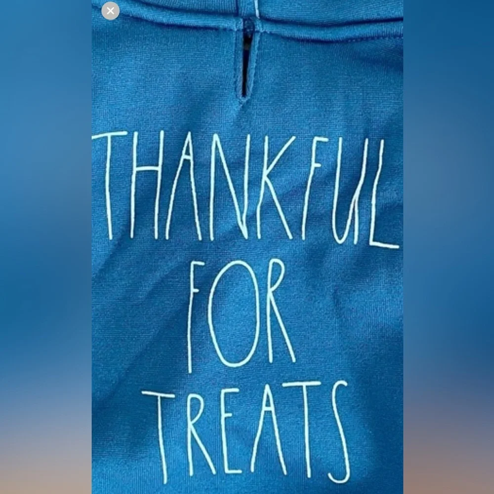 Rae Dunn-“THANKFUL FOR TREATS” Dog hoodie SMALL